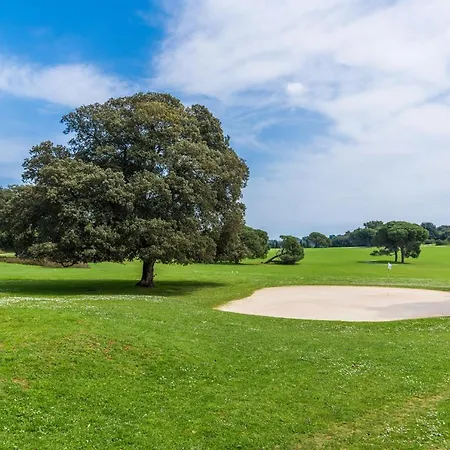 Apartment Green Pula Pula